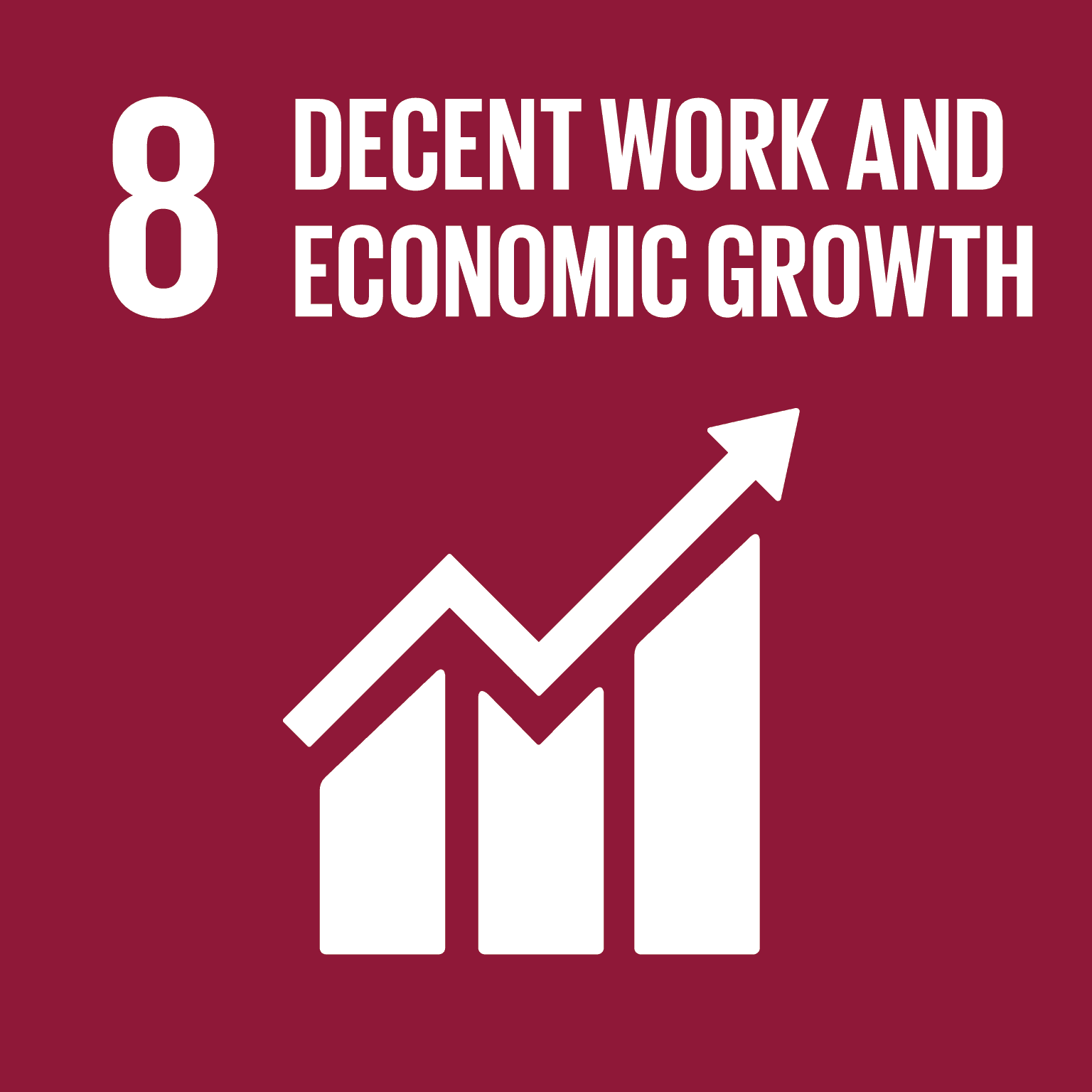 UN Sustainable Development Goal 8 icon